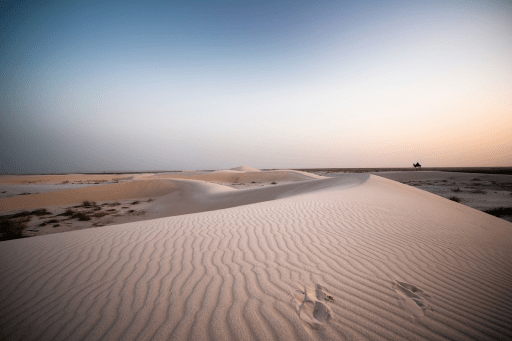 Kutch – White Rann Desert, Rann Utsav & Cultural Heritage of Gujarat