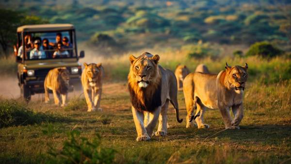 Incredible Gujarat – Explore Heritage, Culture, Wildlife & Scenic Destinations